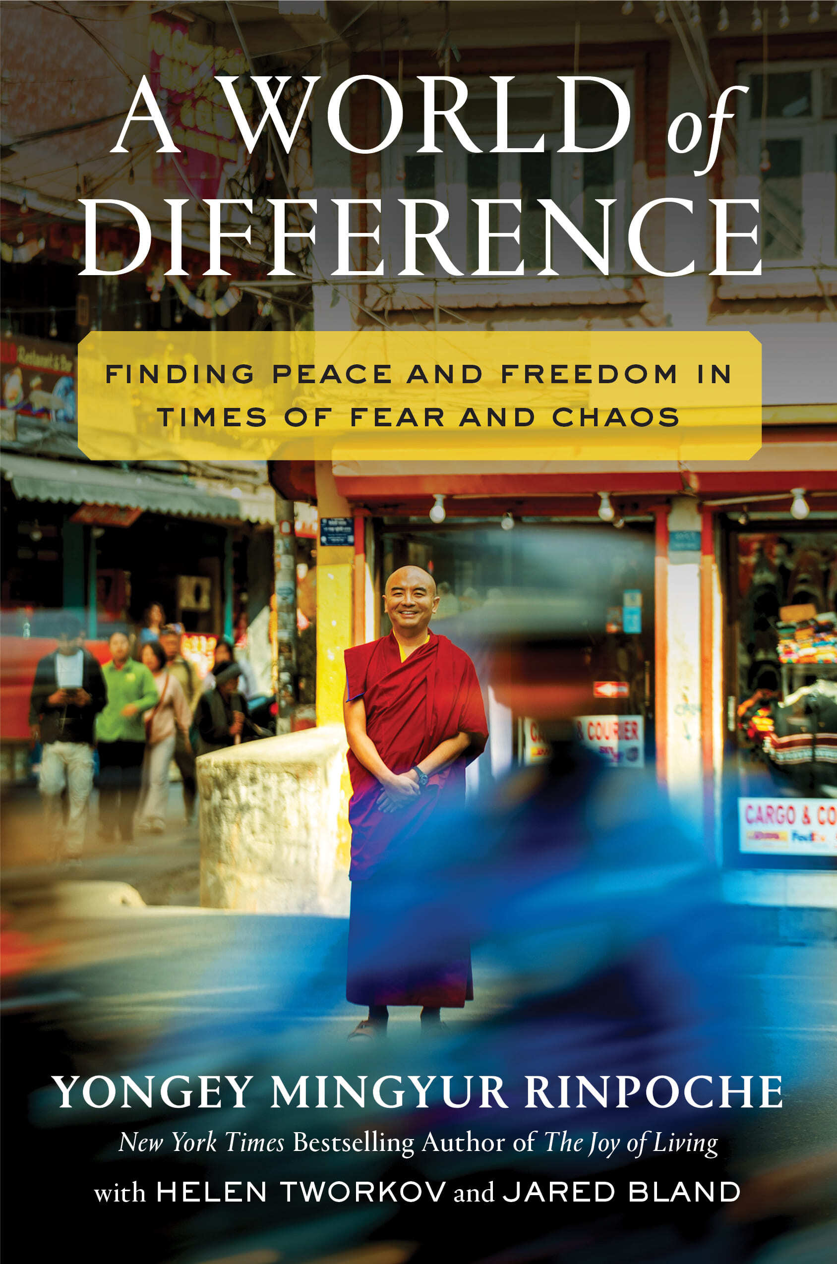 9781538779538_RetailCover_RetailAndCatalog_AWorldOfDifference_HC (2)